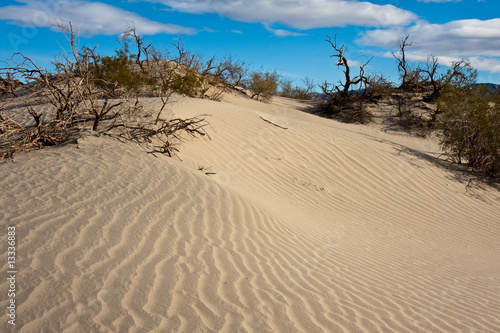 Mesquite Sand Dunes