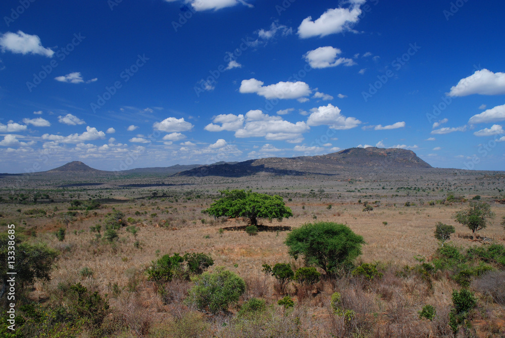 An African landscape