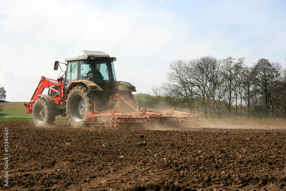 Fototapeta premium Bauer