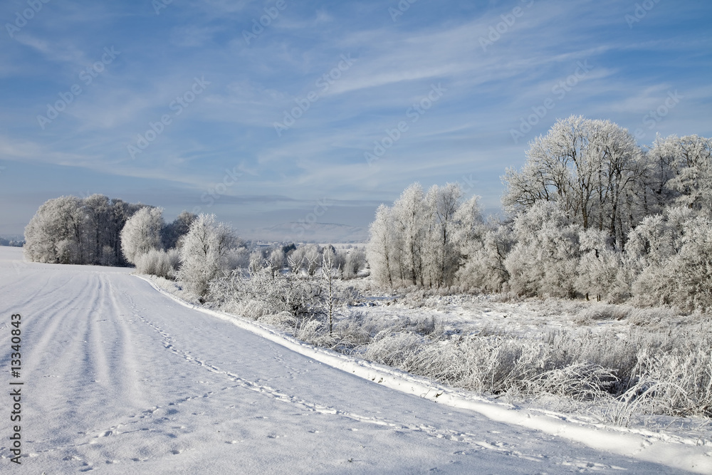 Obraz premium schneebedeckte Landschaft