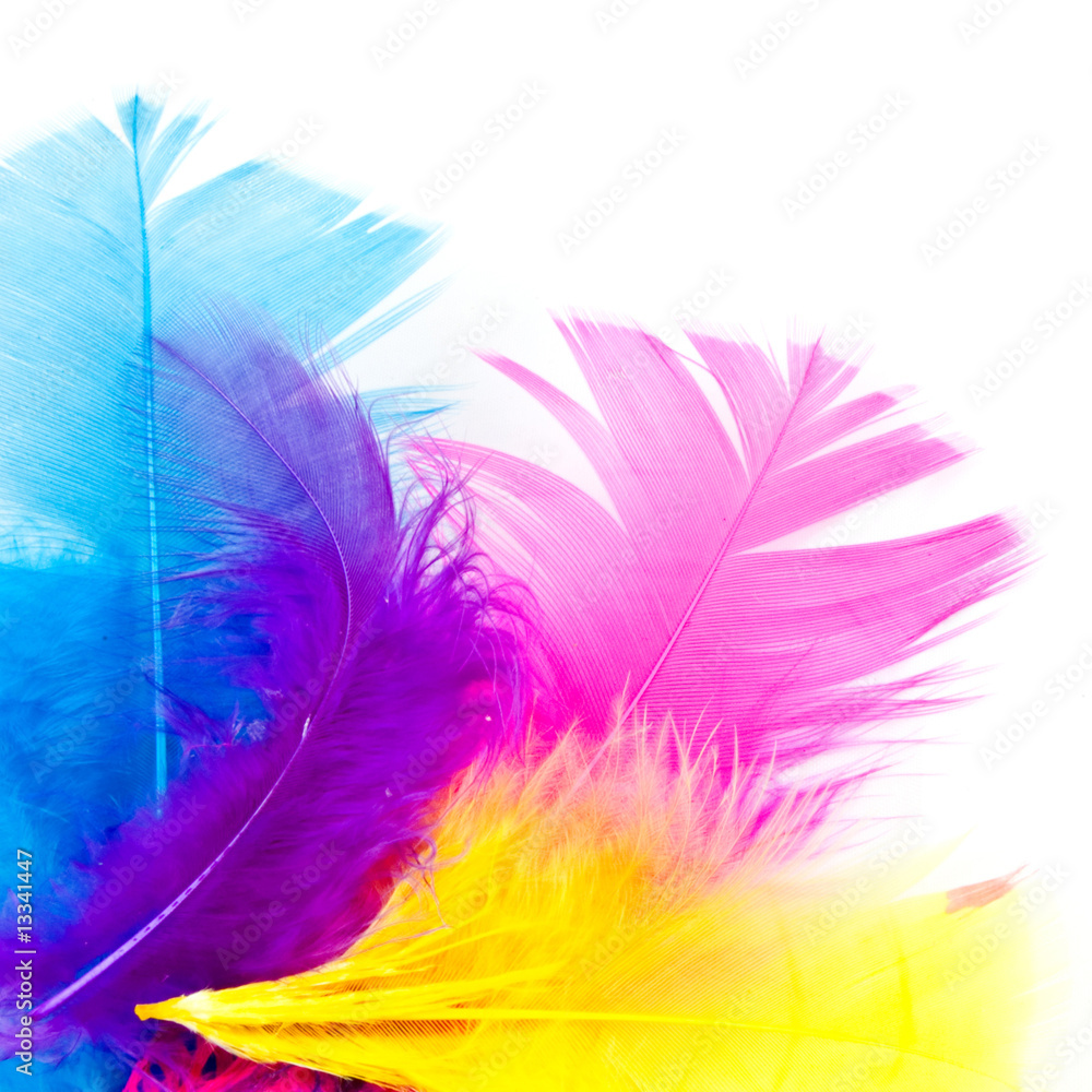 Obraz premium colorfull feathers with copy-space