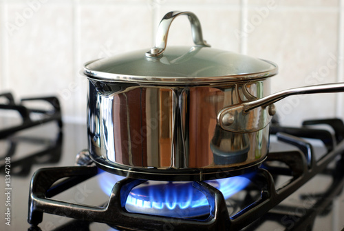 Slika na platnu Pot on the gas stove