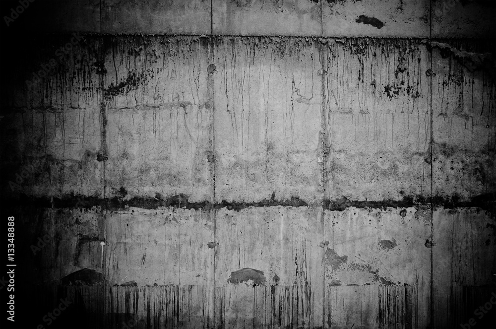 Fototapeta premium wall texture