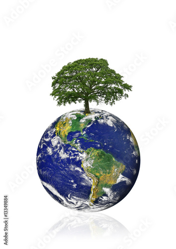 Save The Oak Trees