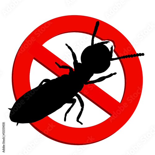 interdit aux termites