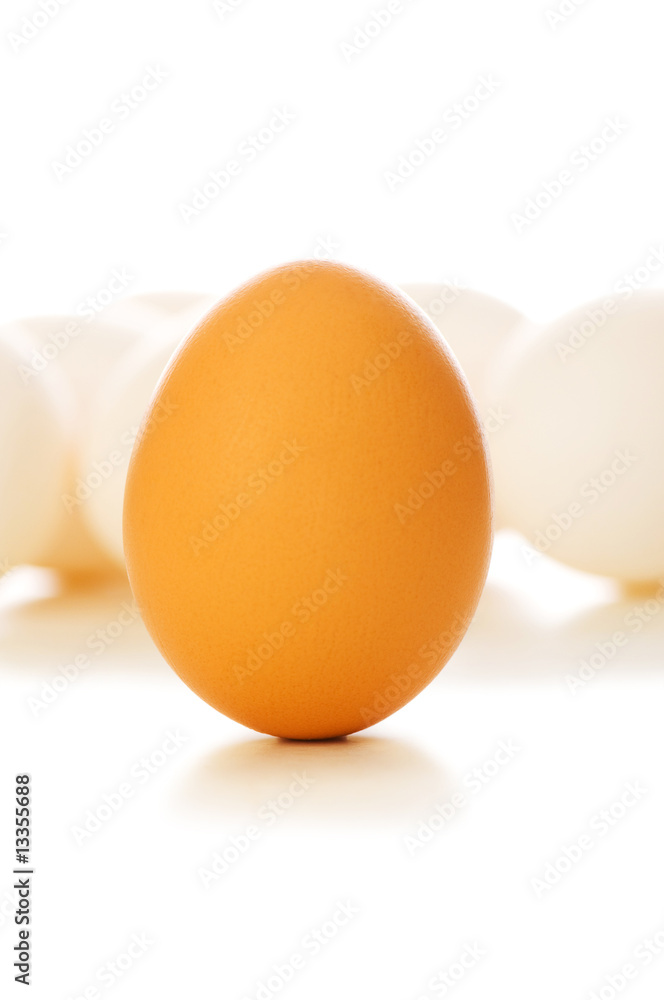 Brown egg on white - shallow depth of field Brown egg on white - shallow depth of field