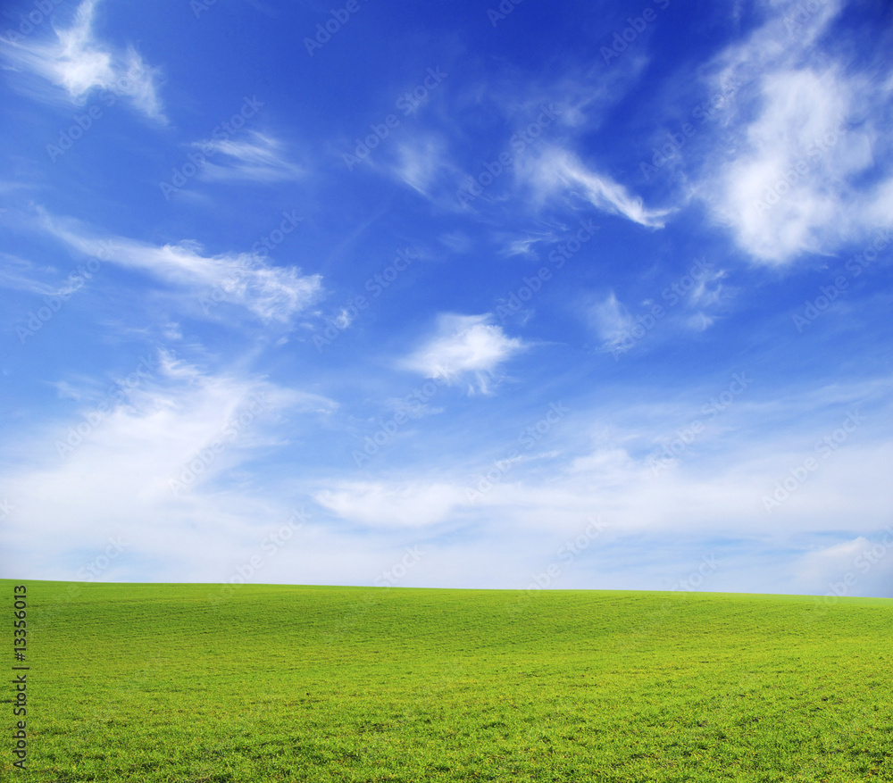 field field