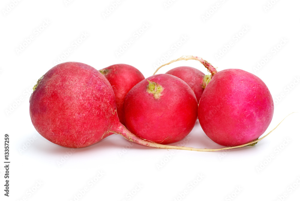 Few red ripe garden radish