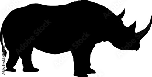 Nashorn