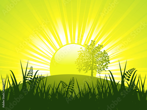 abstract sunset and tree
