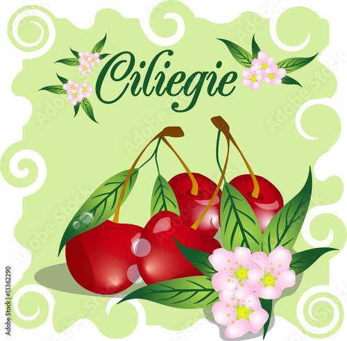 ciliegie e fiori