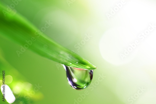 shine water drop