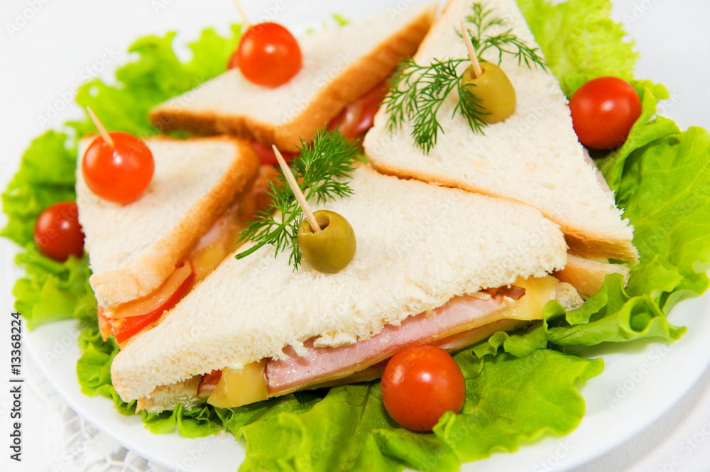 Eating on the run. Fresh and tasty home-made canape sandwiches Eating on the run. Fresh and tasty home-made canape sandwiches