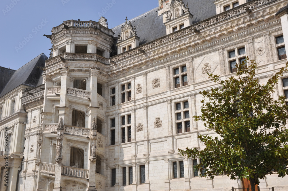 château royal de Blois, France