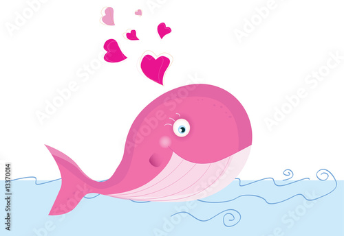 Whale in love