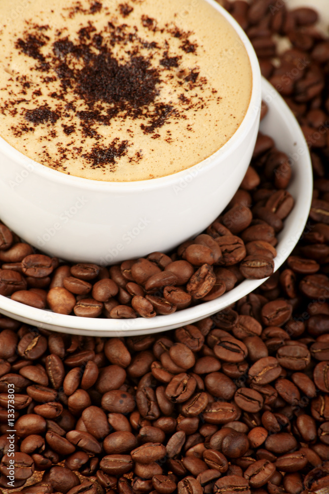 cappuccino cappuccino