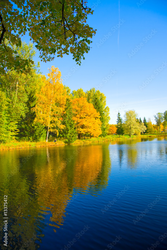 Fototapeta premium autumn landscape