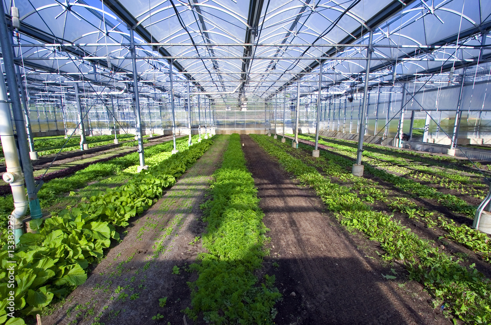Greenhouse 1 Greenhouse 1