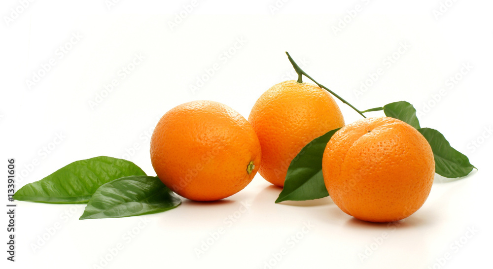 Oranges Oranges