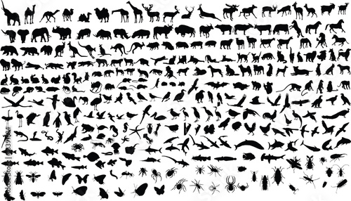 300 vector silhouettes of animals photo