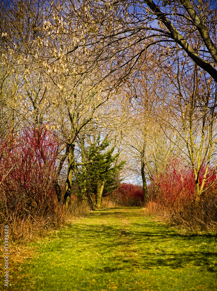 Fototapeta premium nature and colors
