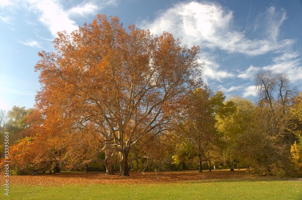 Autumn park in Budapest