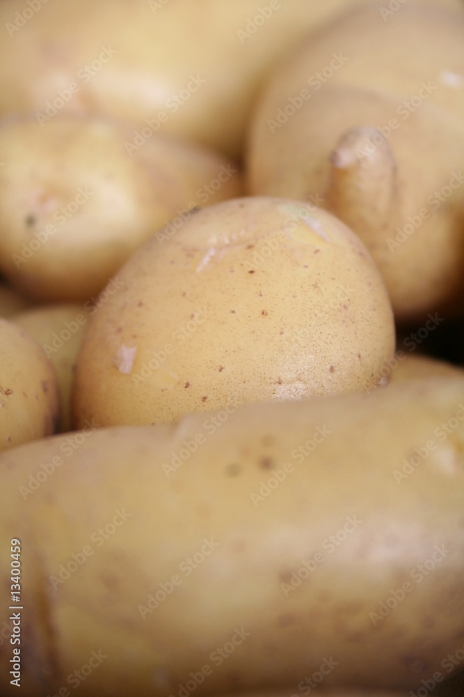 Batata - Batatas - Potato - Patate - Patata - Kartoffel Batata - Batatas - Potato - Patate - Patata - Kartoffel