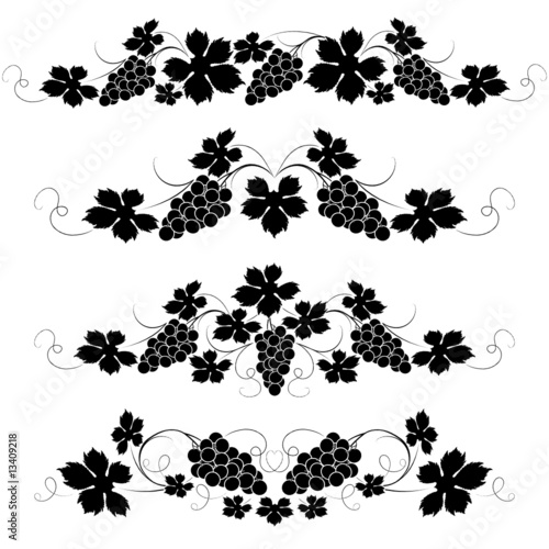 Decorative elements from the vine on a white background