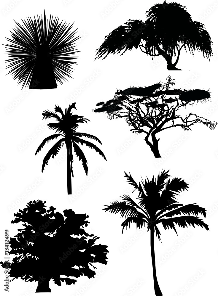 six tree silhouettes