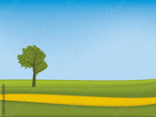 meadow