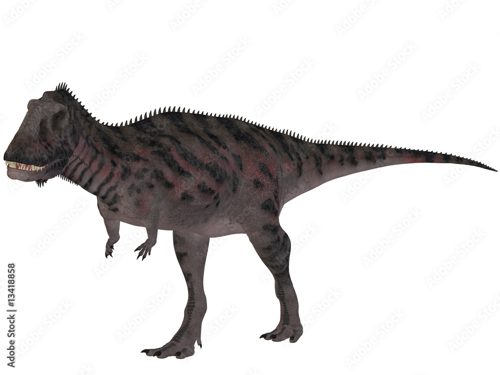 Fototapeta premium Majungasaurus Crenatissimus - 3D Dinosaurier