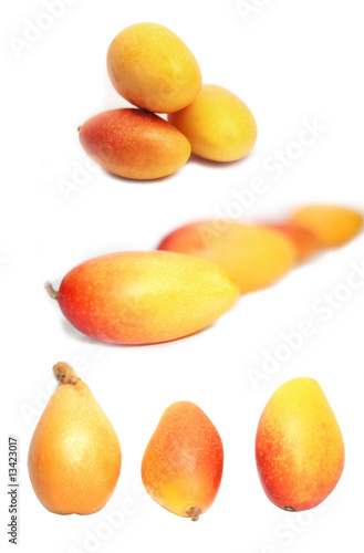 mango and loquat on white background  3in1