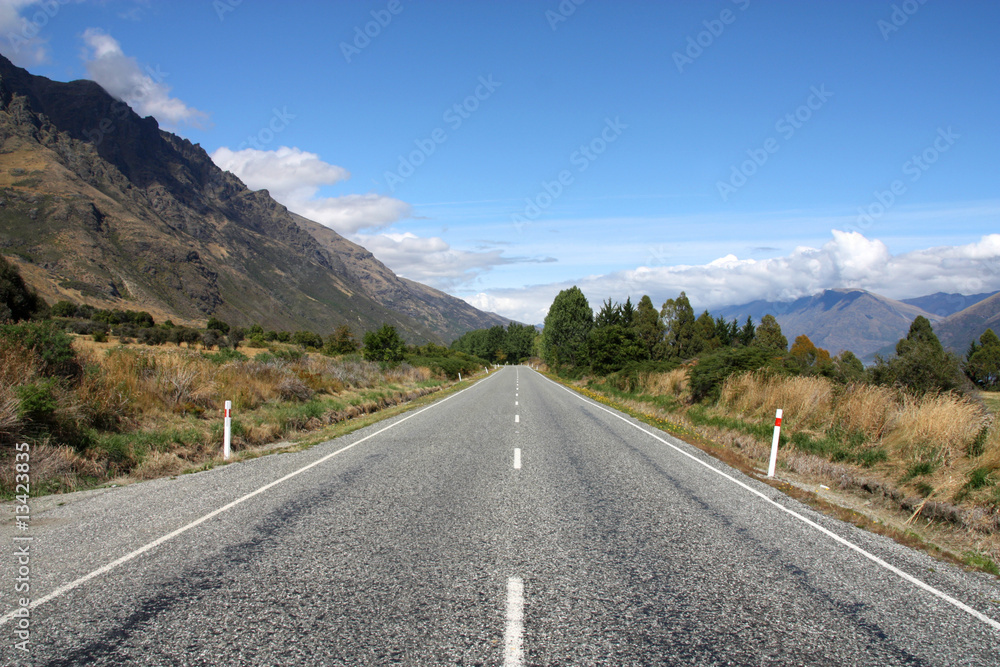 Fototapeta premium Straight road in New Zealand, Otago region