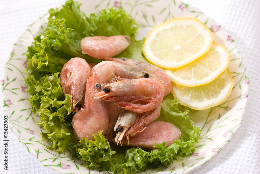 shrimp shrimp