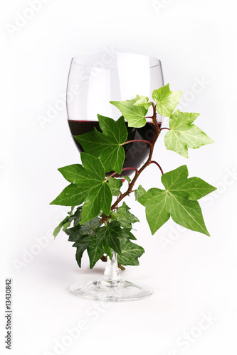 Copo de vinho tinto com planta de vinha em redor