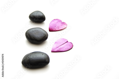 Steine und Blüten
