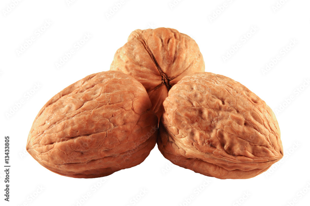 noci noci