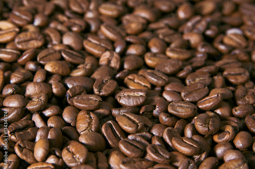 Fototapeta premium Coffe beans