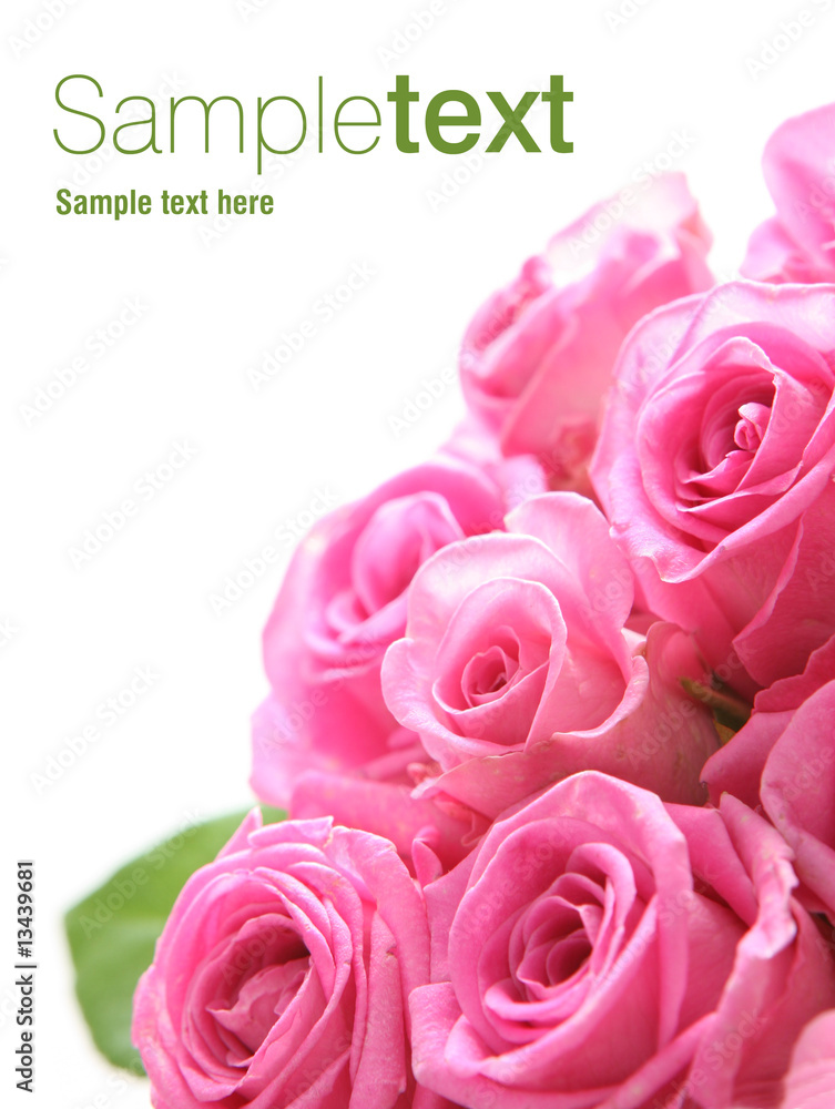 Pink rose (easy to remove the text)