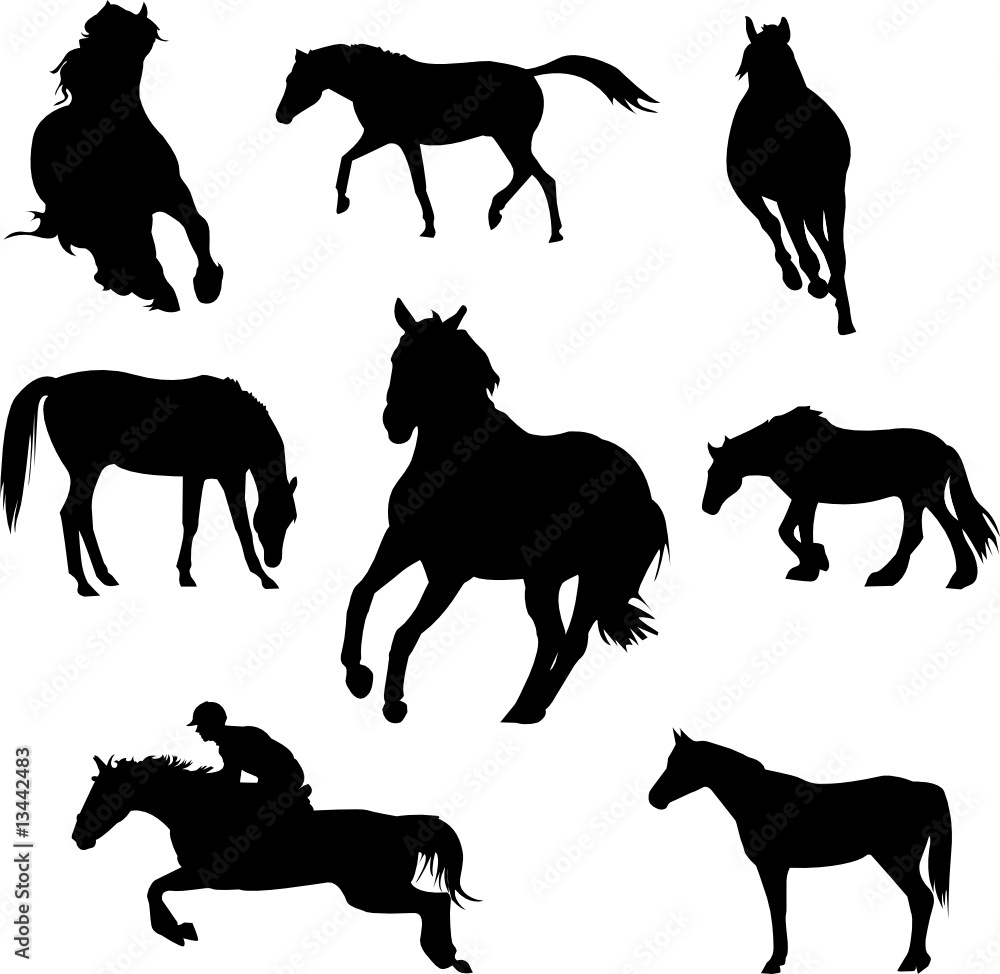 horses and riders silhouettes