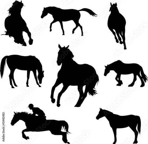 horses and riders silhouettes