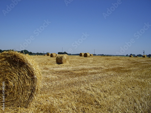 Rouleaux de foin