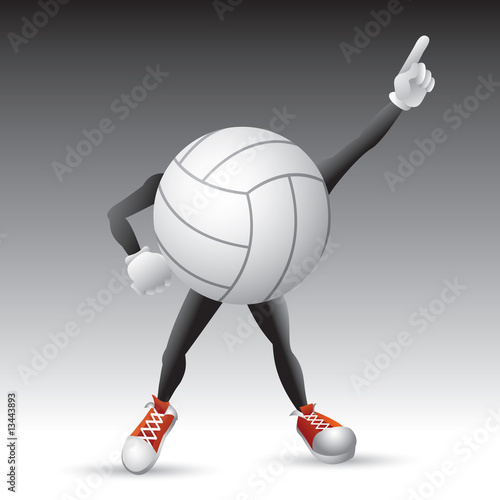 Volleyball cartoon character fan