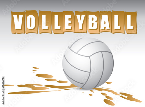 Volleyball logo