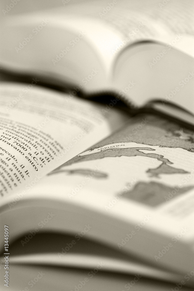 Fototapeta premium libri