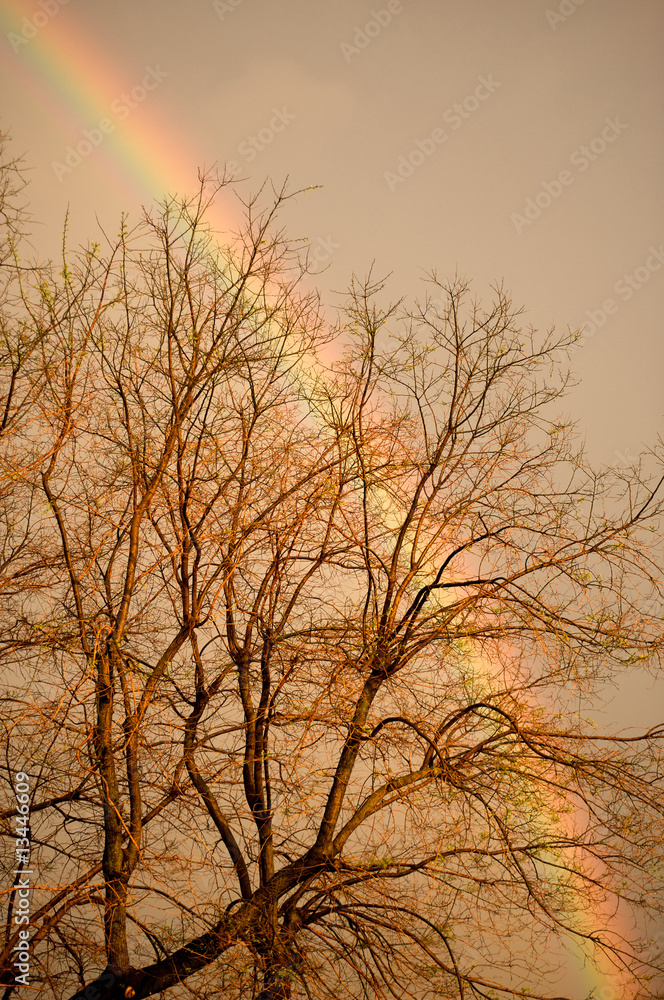 Obraz premium arcobaleno