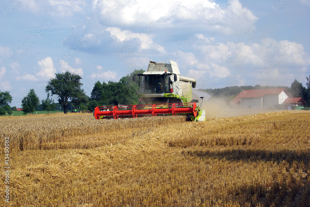 Obraz premium Getreideernte