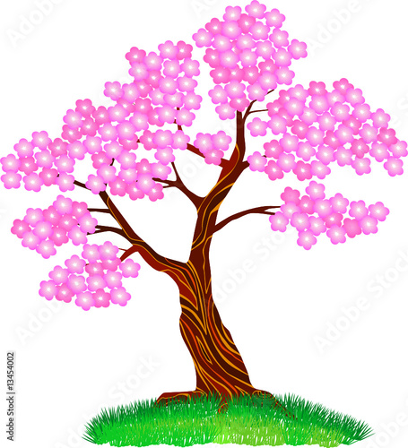 Cherry tree