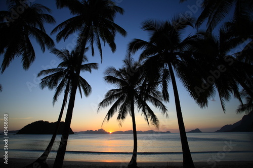 tropic sunset