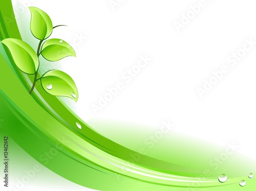 Fresh leaves over green design